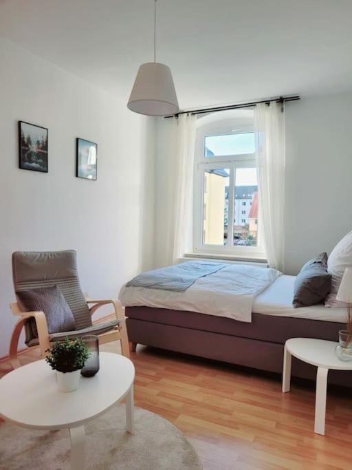 Gemuetliches Helles Appartement Dresde Extérieur photo